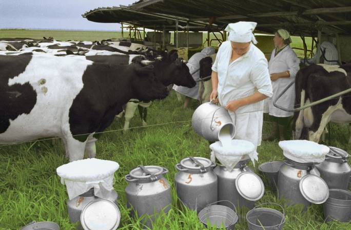 Белоруссия получает 3 млрд долларов год от продажи молока в Россию
