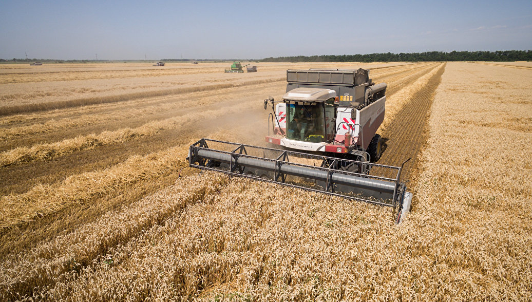 Минсельхоз завершил разработку долгосрочной стратегии развития зернового комплекса РФ до 2035 года
