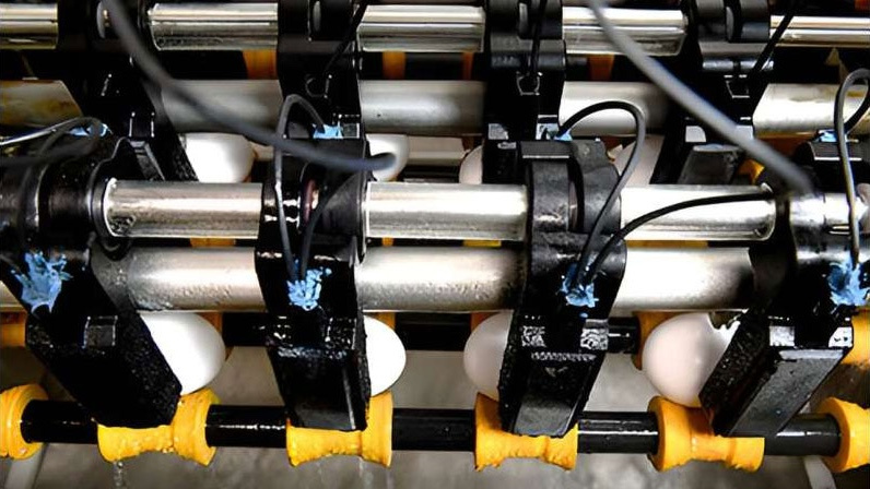 Радиоволны ускоряют процесс пастеризации яиц в два раза