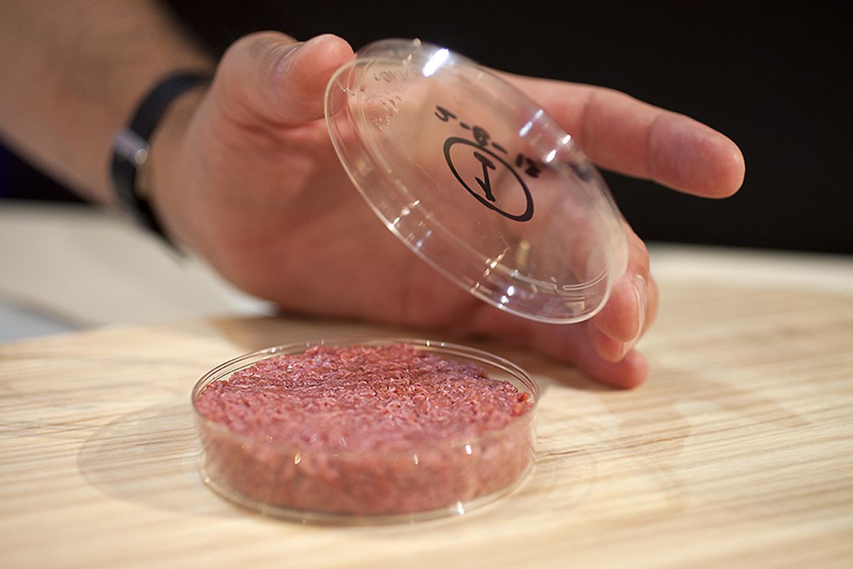 “ЭФКО” выведет на рынок российскую технологию выращивания свиного мяса в пробирке