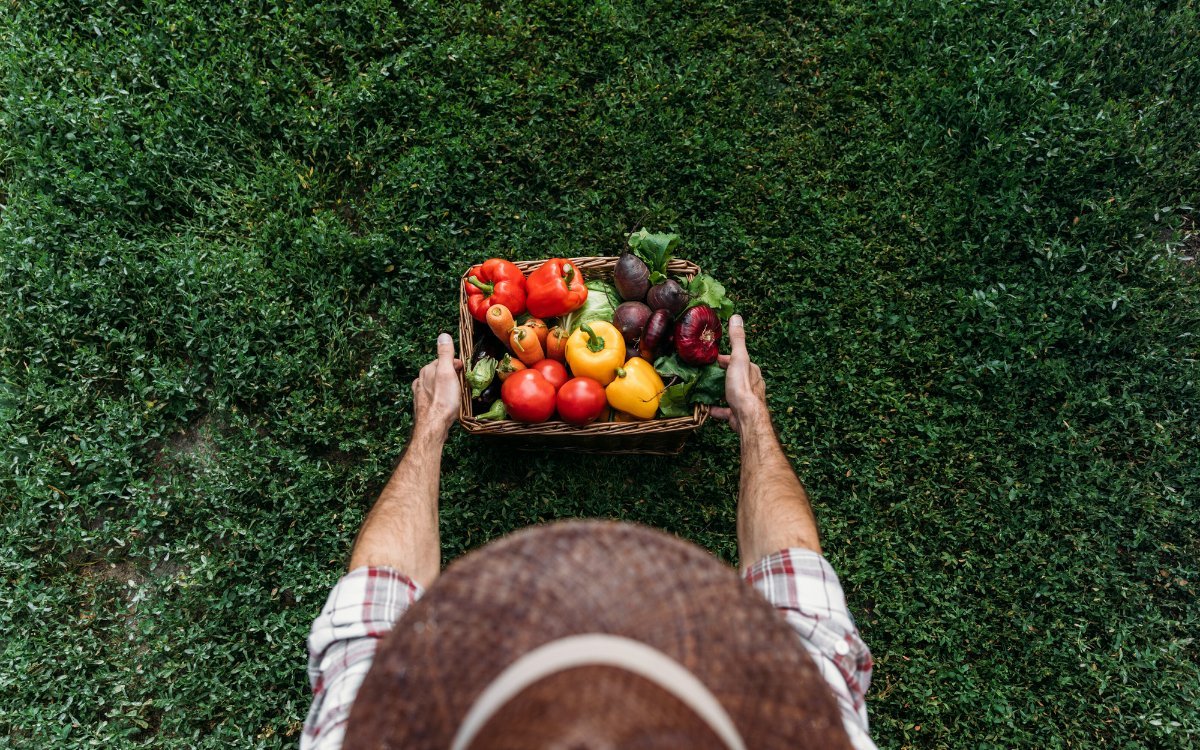 В Орле и Рязани пройдут Круглые столы по органическому сельскому хозяйству
