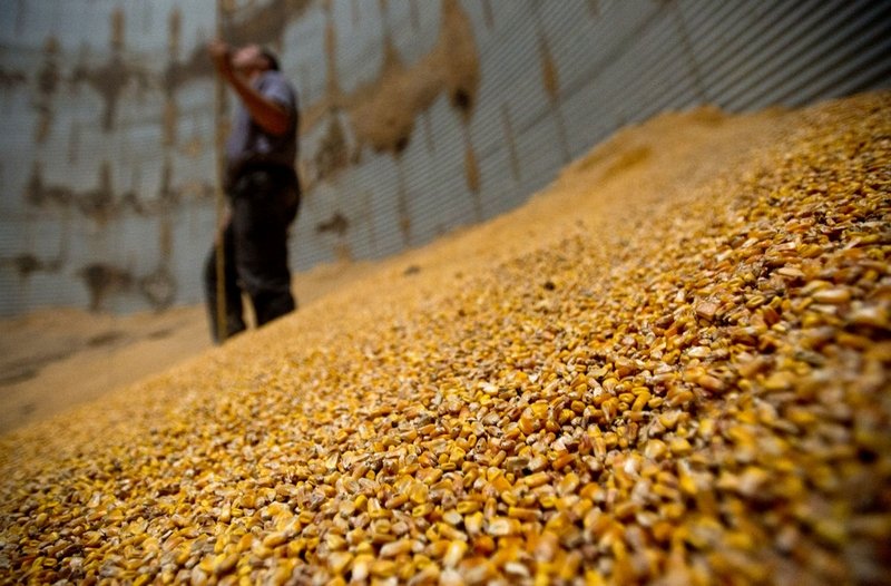 IGC снизил свой прогноз по мировому производству зерна