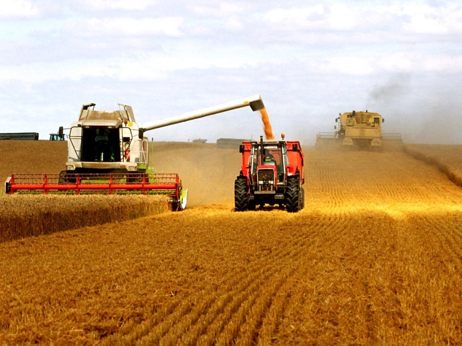 МСХ США: мировое производство пшеницы опустится до самого низкого уровня за три года