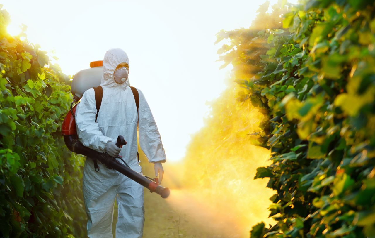Брянские предприятия проконтролировали выброс пестицидов в почву