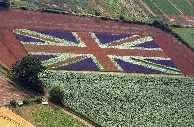 Эксперты изучают влияние Brexit на сельское хозяйство: «оно будет иметь долгосрочные последствия»