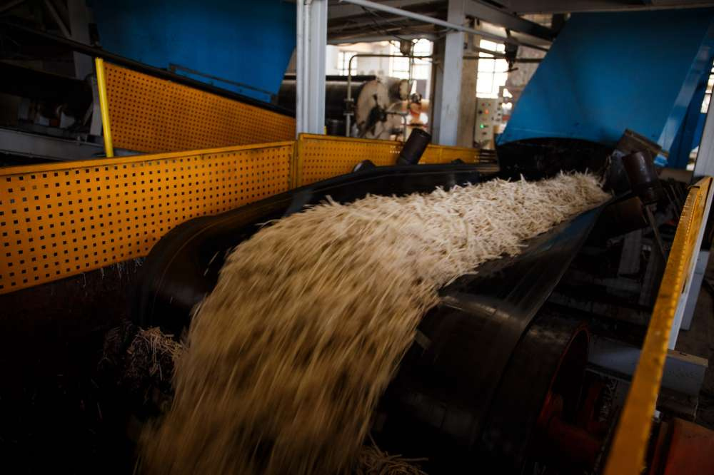 Завод «Свобода» планирует произвести 86,5 тыс. тонн сахарного песка