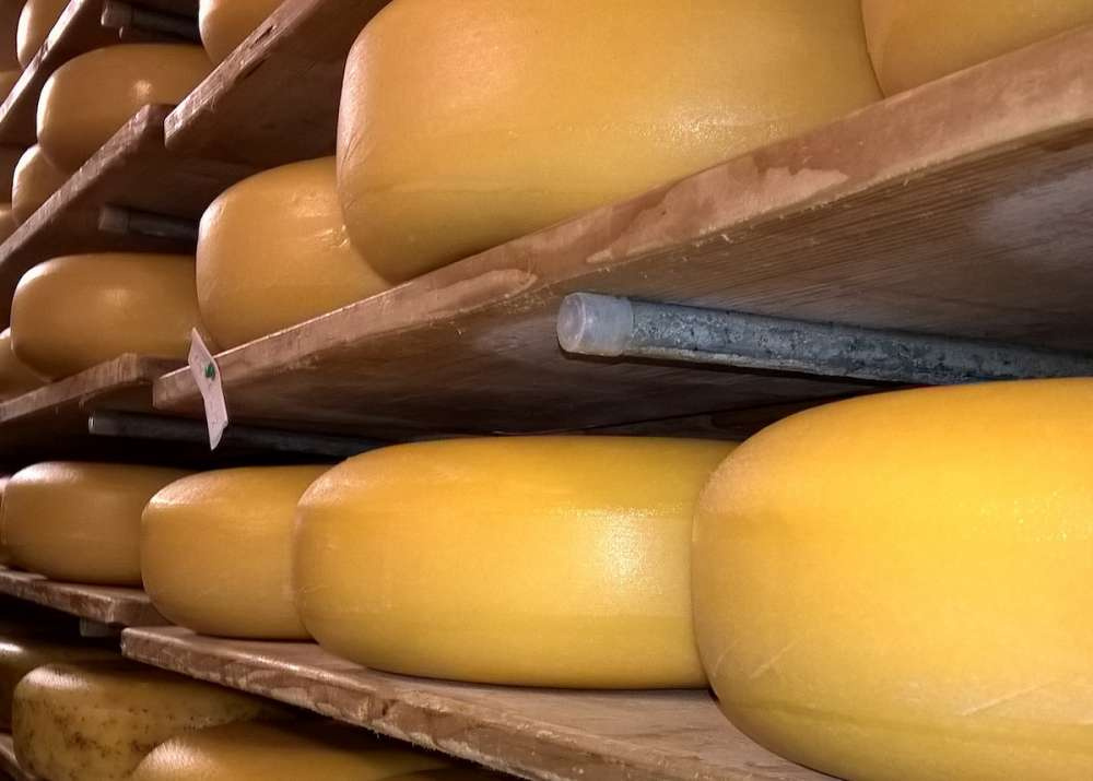 Сыроваренный завод «Сармич» начал выпуск маркированной молочной продукции длительного хранения