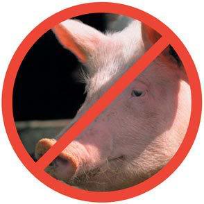 Белорусская свинина может оказаться под запретом