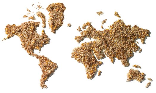 Одной строкой: рынок зерна - Россия, Бразилия, Казахстан, Литва, ЮАР, ЕС, Саудовская Аравия