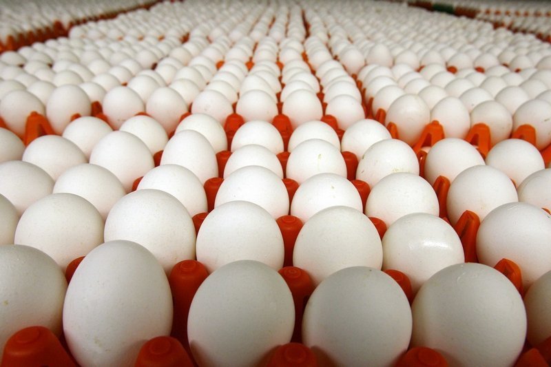 Рынок яиц: обзор, лидеры, перспективы