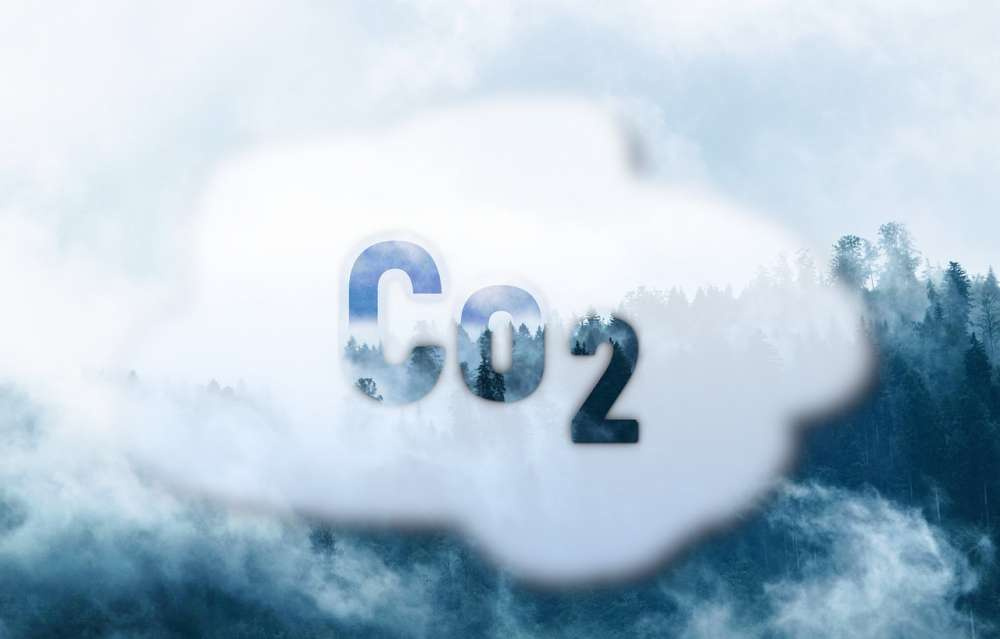 Накопление CO2 в сельхозпочвах дает незначительный выигрыш для климата