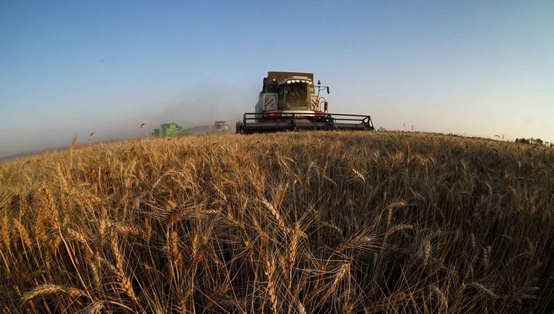 Россия полностью продала прошлогодний урожай зерна на внутреннем рынке