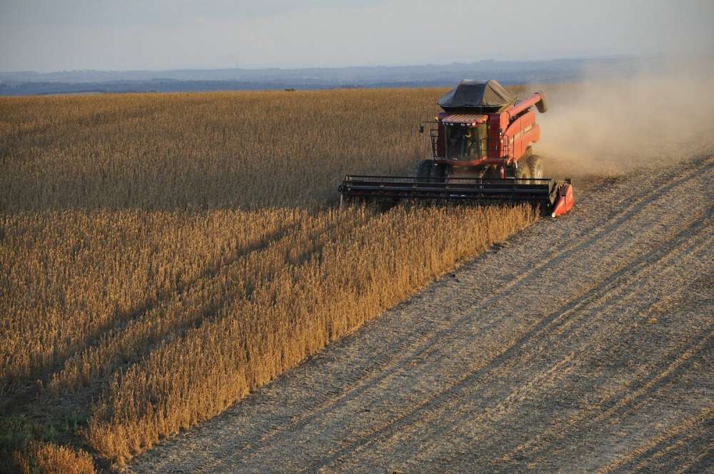 IGC прогнозирует рекордный мировой урожай зерна в 2020-2021 году