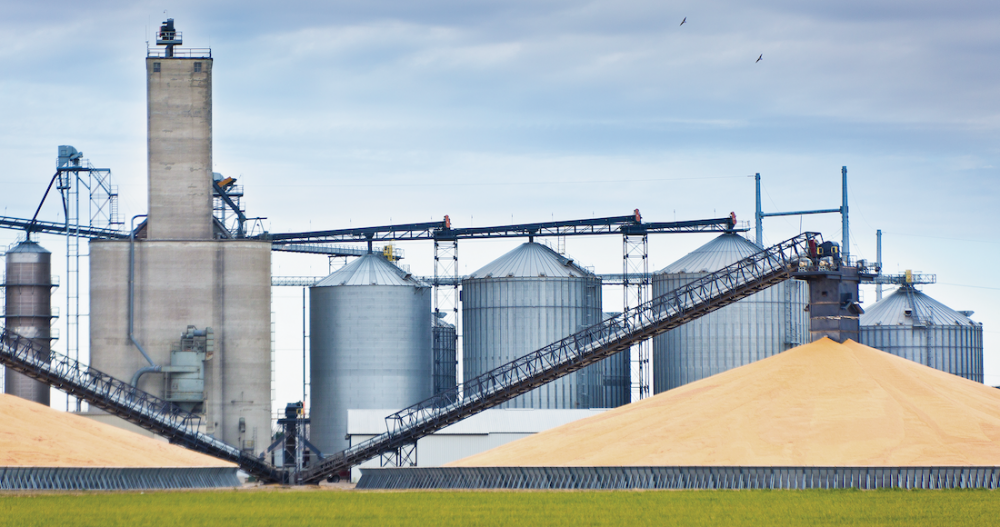 Возврат к накоплению — закупочные интервенции зерна и сахара