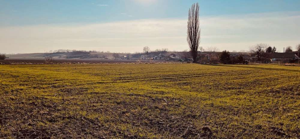 Украине нужна срочная помощь для восстановления сельского хозяйства — Всемирный банк