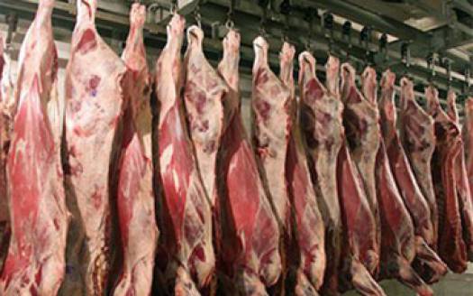 5 тонн контрабандного мяса с Украины