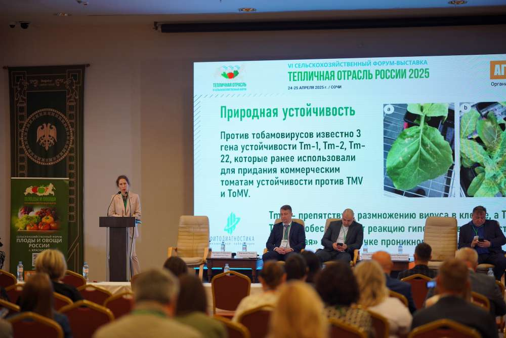 Как увеличить прибыль без потери качества овощей? - вопросы второй сессии форума «Тепличная отрасль»