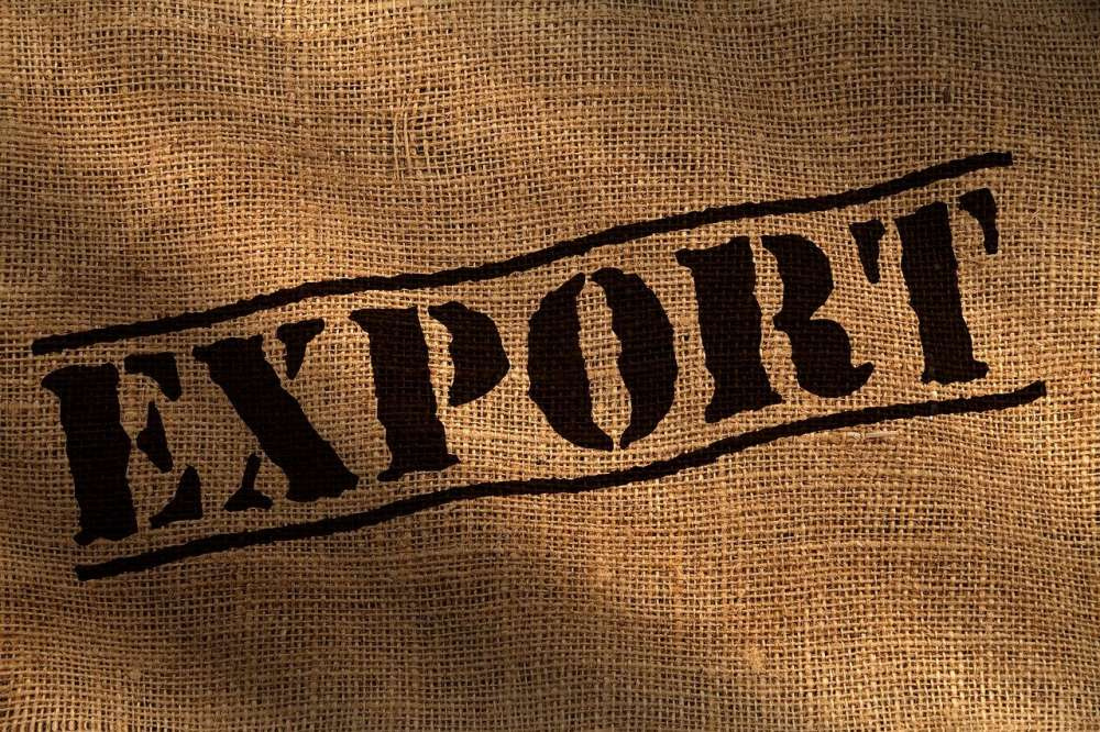 Правительство поддержит сельхозпроизводителей, участвующих в экспортных программах