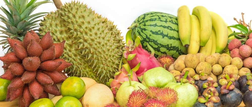 Стандартное производство тайских продуктов (фруктов) для российских экспортеров