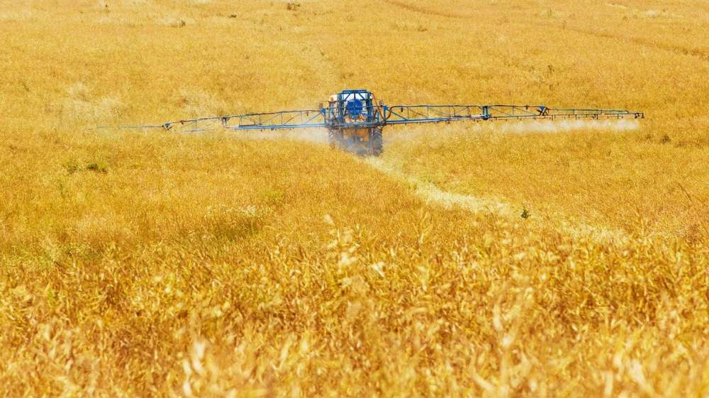 Доля рынка отечественных производителей пестицидов в России впервые превысила долю иностранных компаний