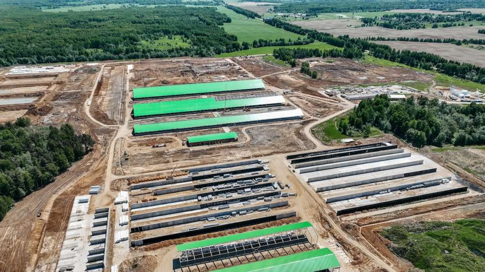«Румелко» планирует войти топ-5 производителей сырого молока в России