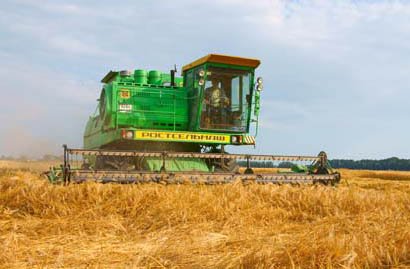 На Кубани завершается уборка зерновых