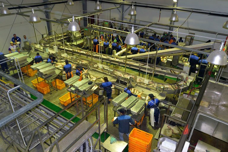 "Агропродмаш" объединяет ведущих производителей оборудования для рыбной промышленности