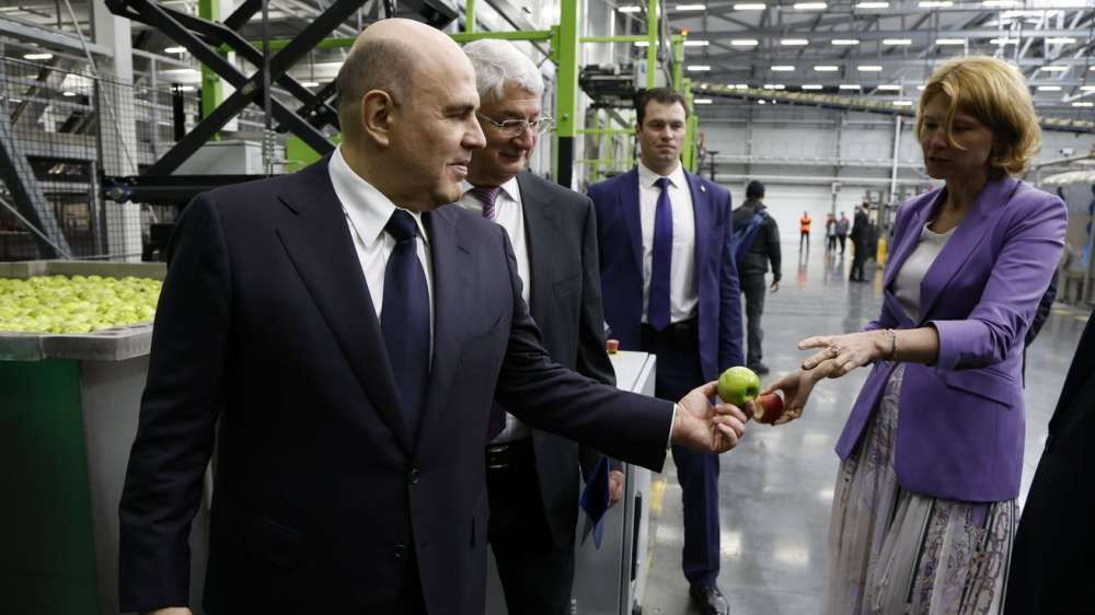 В России в 2025 году планируется собрать около 2,1 млн т плодово-ягодной продукции