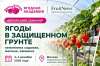 Семинар «Ягоды в защищенном грунте: земляника садовая, малина, ежевика»