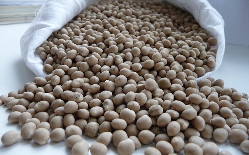 Переработка зерна люпина: новые технологии