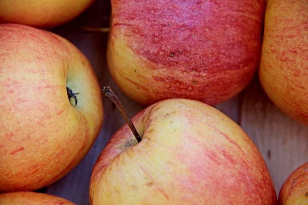 Армения увеличивает производство и экспорт свежих яблок
