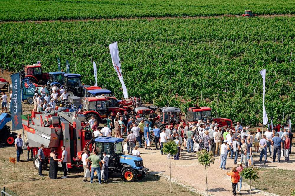 2-й всероссийский день поля для виноградарей пройдет 4-5 июля