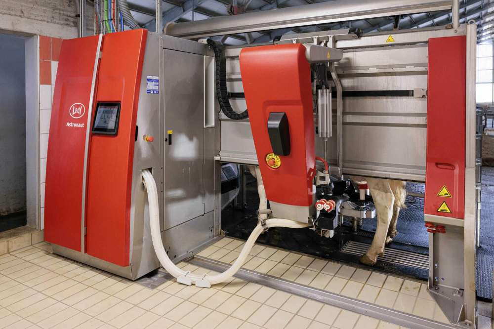 Lely представила новые технологии для молочного животноводства