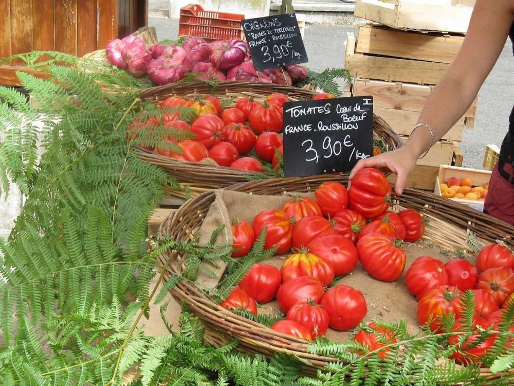 Экспорт европейских томатов снизится на 21%
