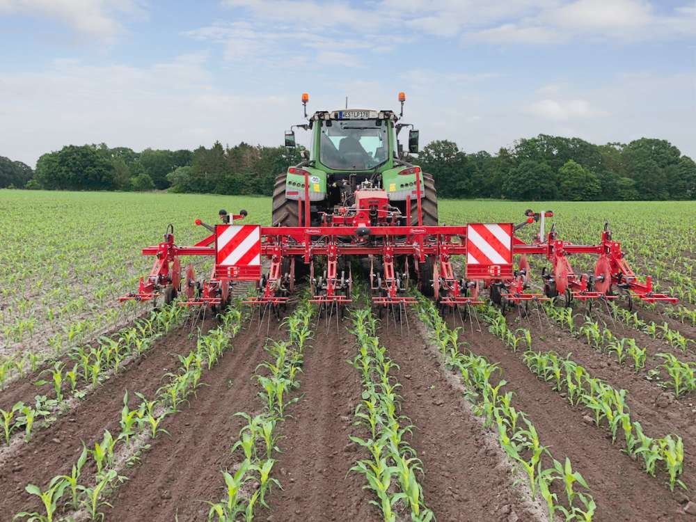 Пропашная техника Steketee хорошо зарекомендовала себя на посевах кукурузы по технологии DeltaRow