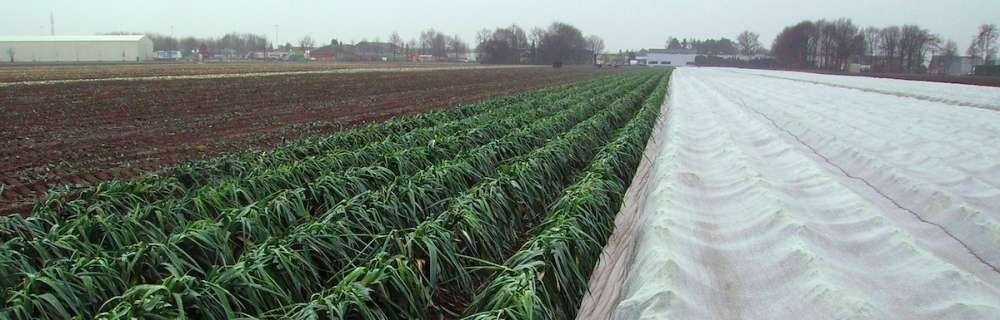 Итальянская компания представила биоклиматический экран для защиты овощей в открытом грунте
