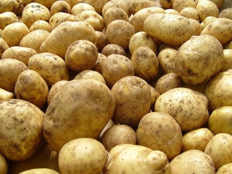 Среди приоритетных продуктов Китая числится теперь и картофель
