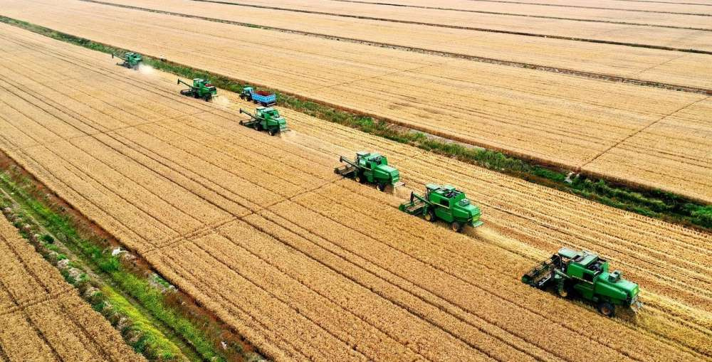 Засуха на Ближнем Востоке вызывает рост импорта пшеницы из России