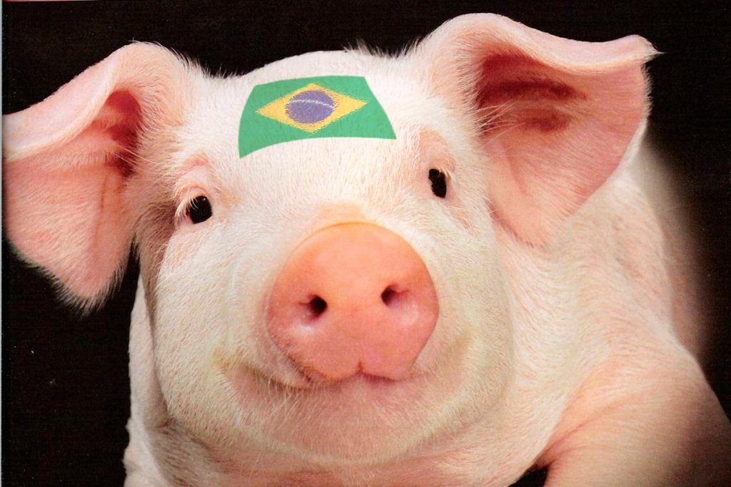 Бразильская свинина приедет в Россию