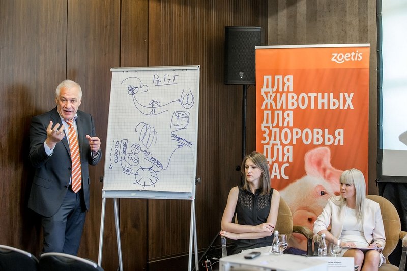 Опрос свиноводов: при отсутствии инноваций отрасль ждет стагнация
