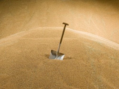 Эмбарго на экспорт зерна – мифы или реальность