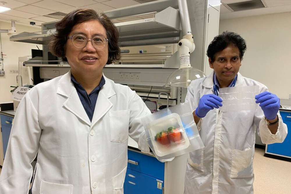 Ученые разработали убивающую бактерии упаковку для продуктов