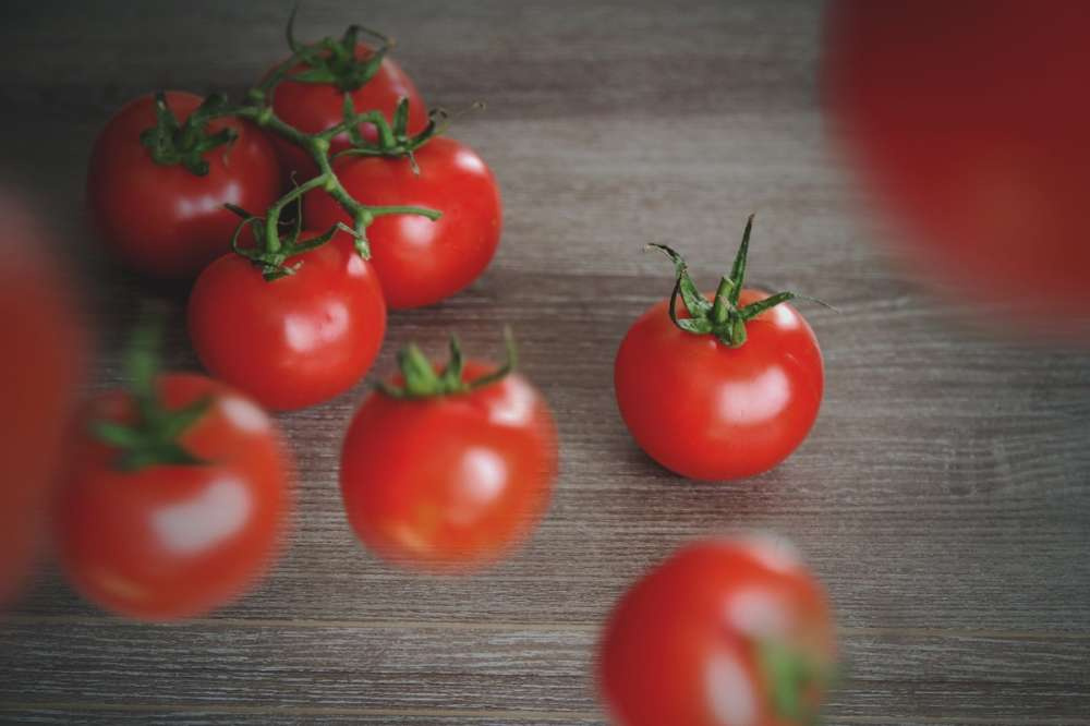 В Турции приветствуют новую квоту на импорт томатов в Россию