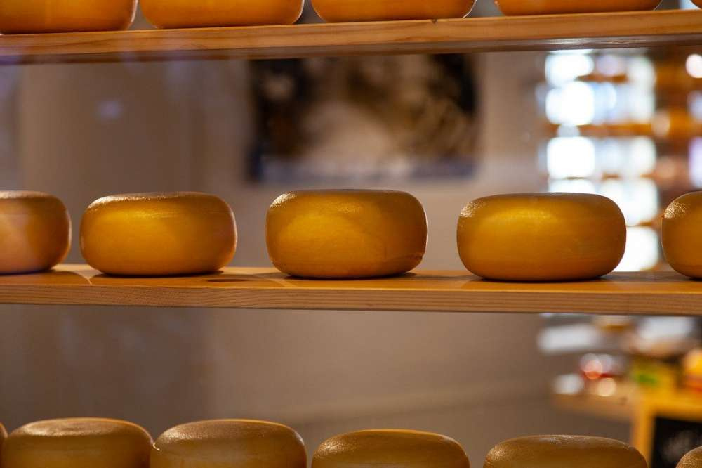 В Тамбовской области после введения маркировки выросло производство сыров