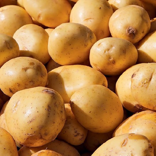 Семеноводство картофеля в горных условиях