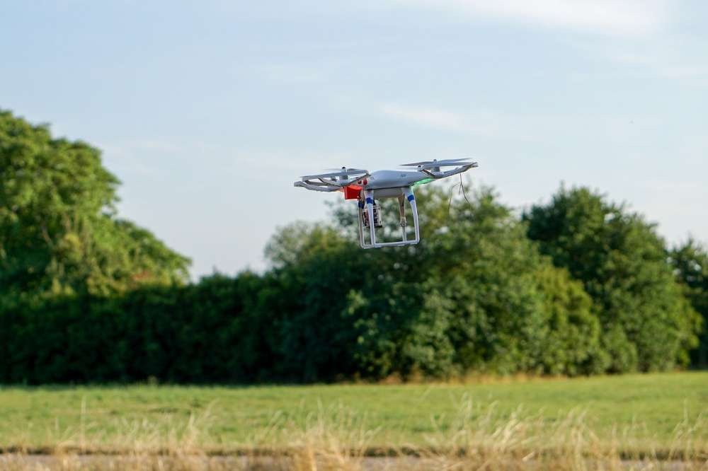 Сколтех: ИИ и дроны помогут справиться с борщевиком