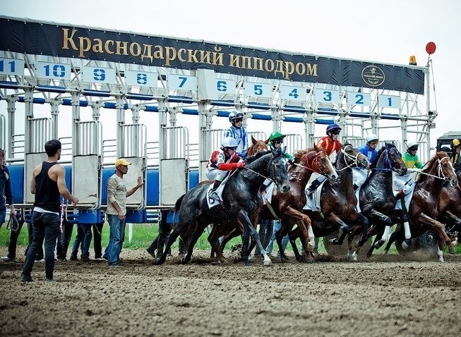 Краснодарский край первым открывает скаковой сезон 2014 года