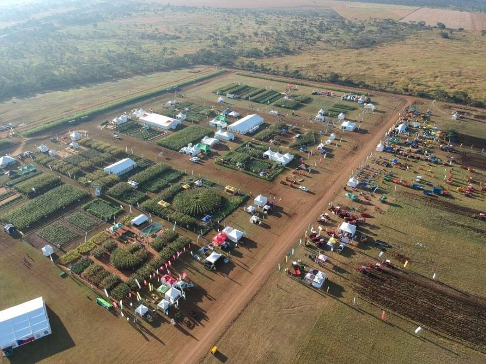 Крупнейшая агровыставка Замбии перенесена из-за коронавируса 
