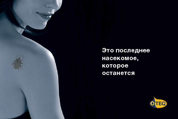 Bayer представляет новый комбинированный системно-контактный инсектицид