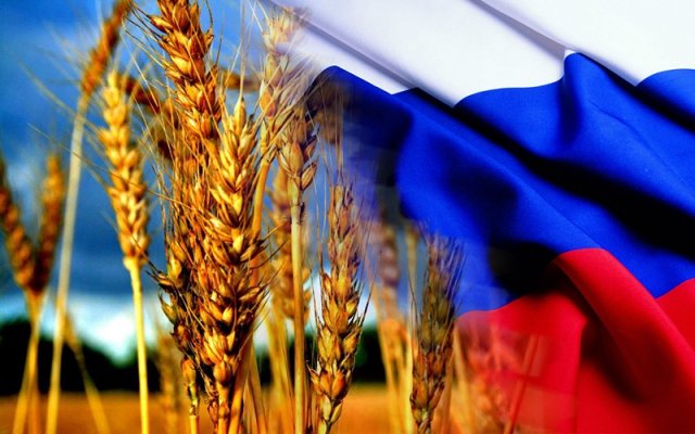 Благодаря росту поставок сельхозпродукции российский несырьевой неэнергетический экспорт в июле вырос на 1 процент